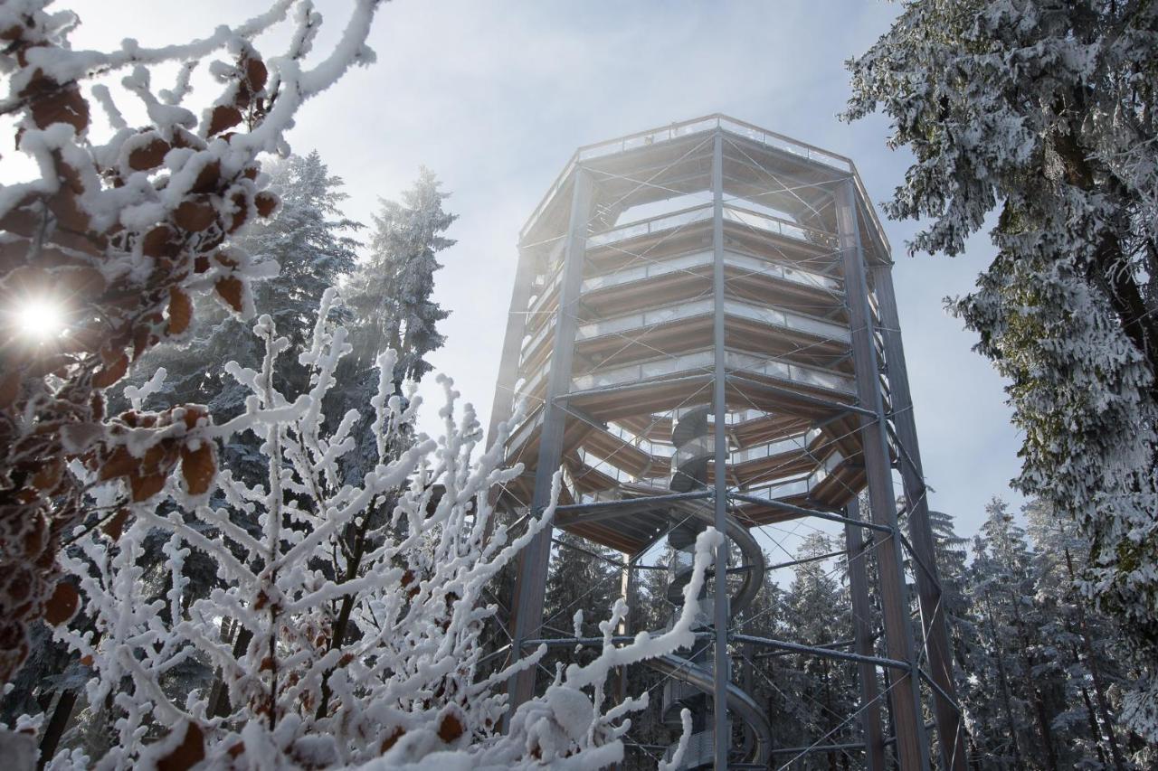 Hotel Barborka Přední Výtoň Exteriör bild